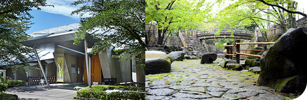 写真：飛鳥山博物館と音無親水公園