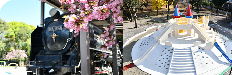 写真：蒸気機関車と飛鳥山公園