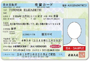 写真:在留カード(表面)