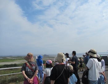 エコエコツアー埋立処分場