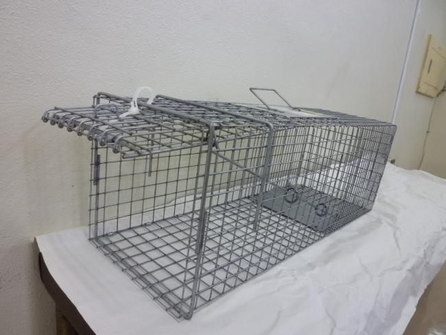 写真:ネコ捕獲器