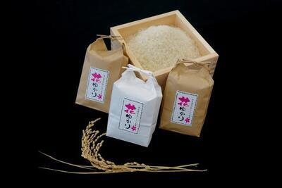 中之条町花ゆかり写真