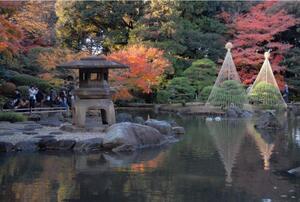 写真：旧古河庭園