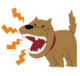 吠える犬
