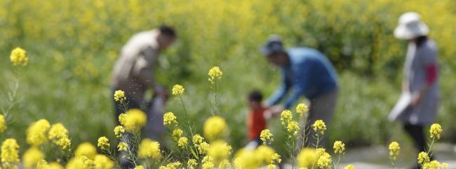 写真:花畑で遊ぶ子ども