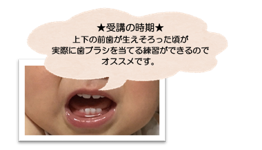 前歯の写真。上の歯4本、下の歯4本