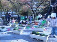 写真:秋の花植え