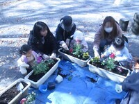 画像:秋の花植え2