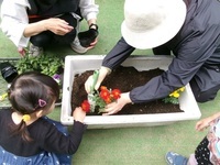 写真：豊島東花植え
