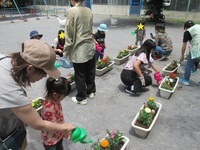 写真：東十条東花植え