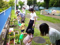 写真：王子東花植え