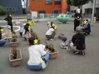 写真：豊島花植え