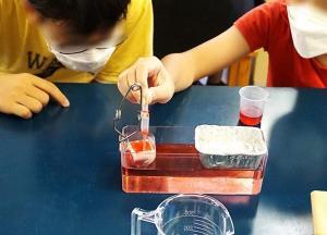 写真：サイエンスラボとは？