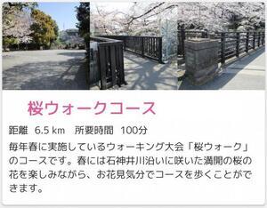 画面:桜ウォークコース