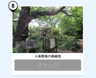 写真:十条野鳥の森