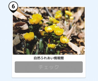 写真:清水坂公園