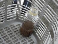 写真：ペットボトル