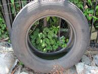 写真：立てかけられた古タイヤ