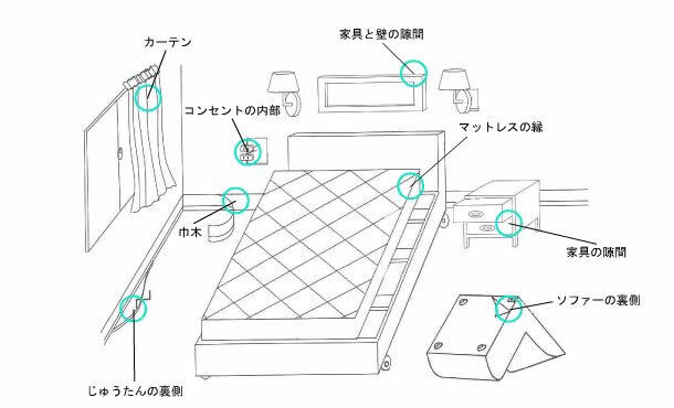 イラスト：トコジラミ発見方法　カーテン |コンセントの内部 中木 じゅうたんの裏側 家具と壁の隙間 マットレスの縁 家具の隙間 ソファーの裏側