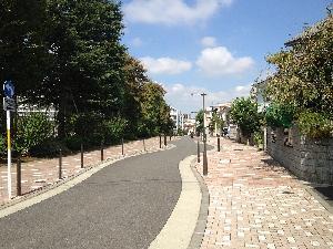 写真：無電柱化された西ケ原の道路1