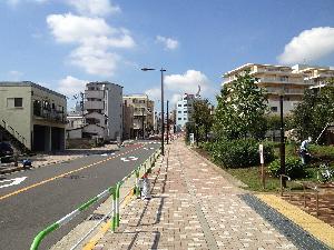 写真：無電柱化された西ケ原の道路2