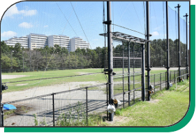 写真：赤羽自然観察公園