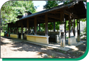 写真：赤羽自然観察公園