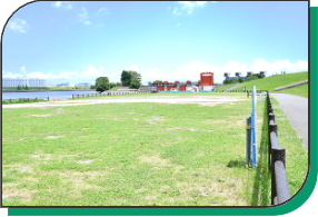 写真：荒川岩淵関緑地
