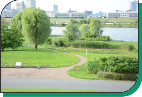 写真：荒川赤羽緑地