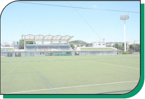 写真：赤羽スポーツの森公園