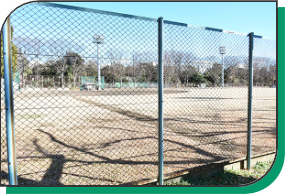 写真：中央公園