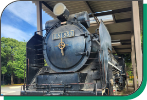 写真：飛鳥山公園