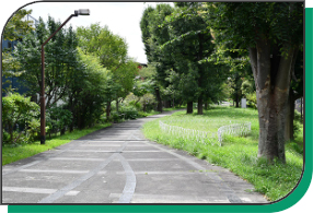 写真：赤羽緑道公園