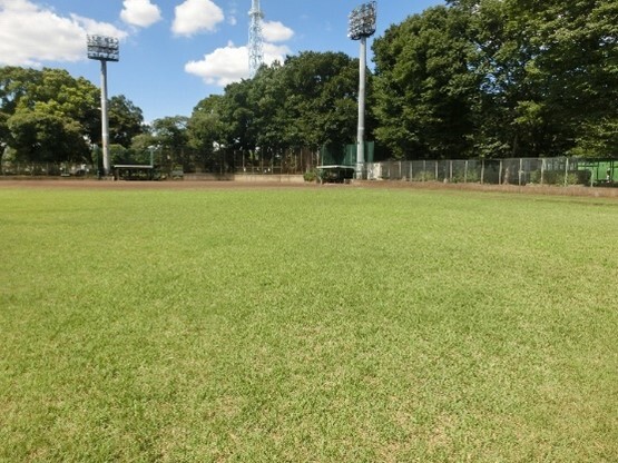 写真：中央公園野球場