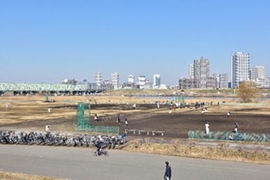 写真：荒川緑地一帯 野球