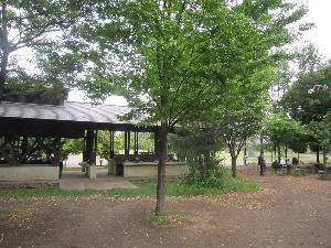 写真：赤羽PARKS1