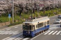 写真：都電荒川線
