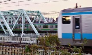 写真：荒川桜堤緑地の土手の上より1