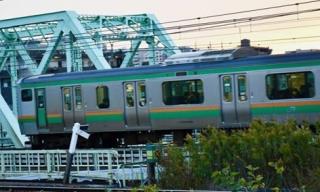 写真：荒川桜堤緑地の土手の上より2