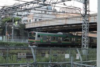 写真：園内遊具の上より2