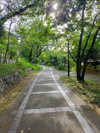 写真：線路を模した道
