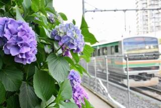 写真：飛鳥の小径より