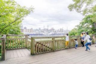 写真：展望広場の高台より