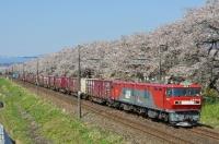 写真：貨物列車（EH500、EH200など）