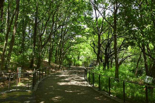 写真：赤羽自然観察公園