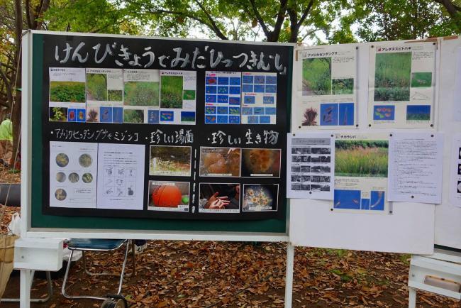 写真：秋まつりの様子2