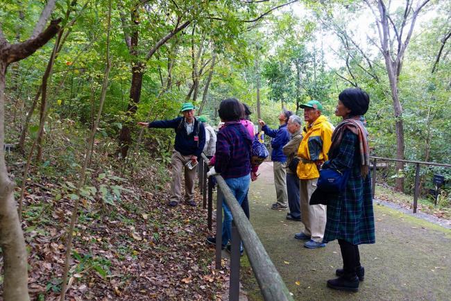 写真：自然観察会