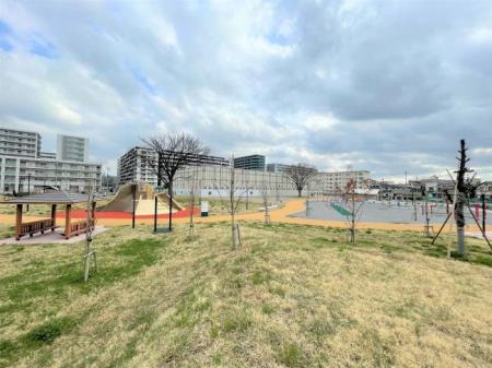 写真：赤羽台けやき公園2