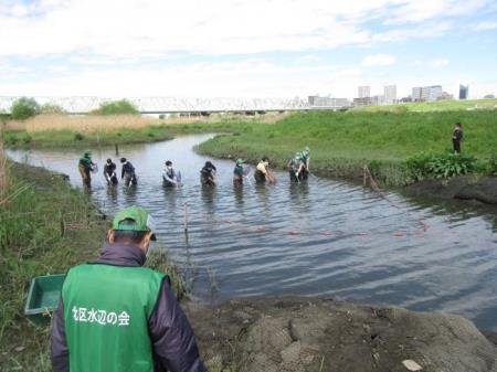 写真:ボランティア活動の様子