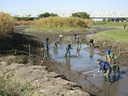 写真:池のかいぼりを行う様子